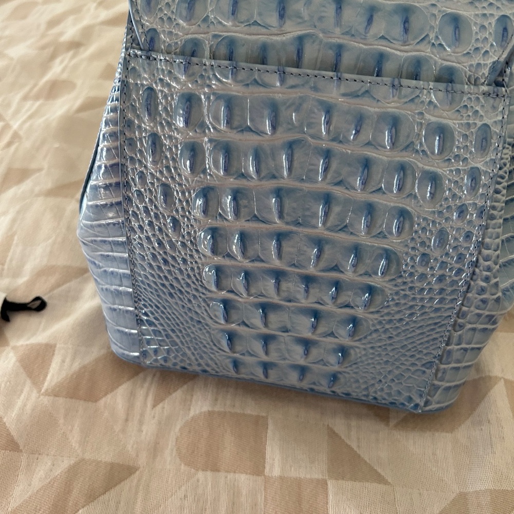 Brahmin - Picture 4 of 6